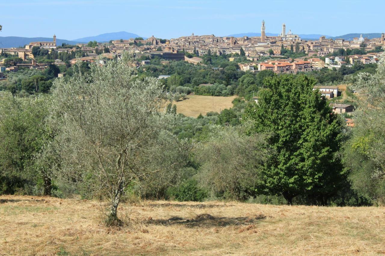 Vignano40 Villa Siena Eksteriør bilde